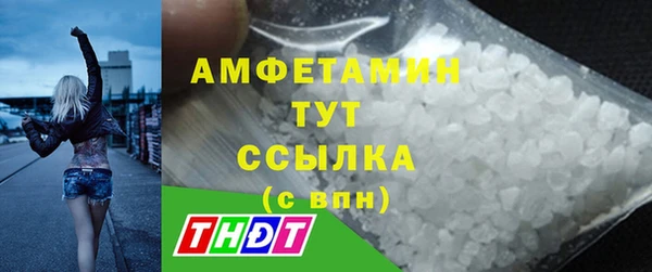 стаф Алексин