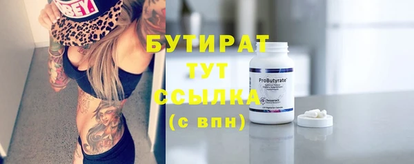 стаф Алексин