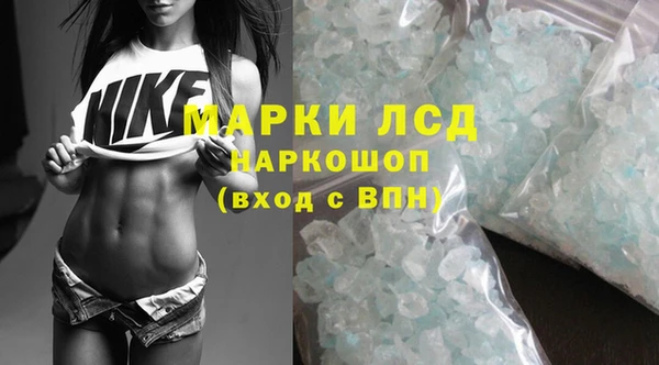 стаф Алексин