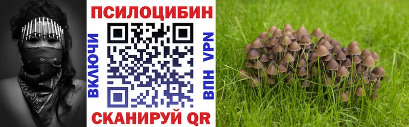 Галлюциногенные грибы Magic Shrooms  Комсомольск 